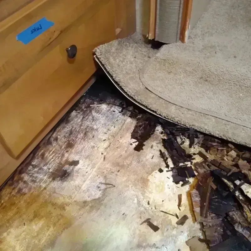 Wood Floor Water Damage in Rice County, KS